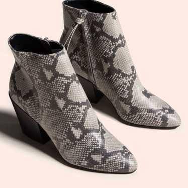 Dolce Vita snakeskin boot 6.5