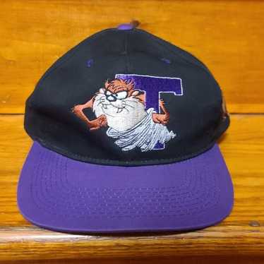 VTG '93 Taz Embroidered Snapback