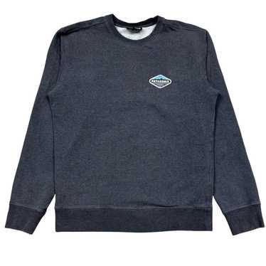 Patagonia Patagonia Fitz Roy Crest Midweight Crew 