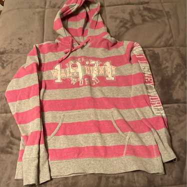 Disney Parks/Walt Disney World vintage Hoodie