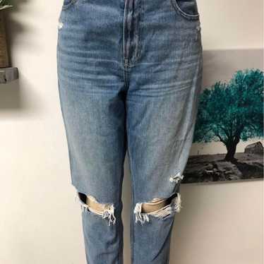 American Eagle distressed jeans mom jeans size 10