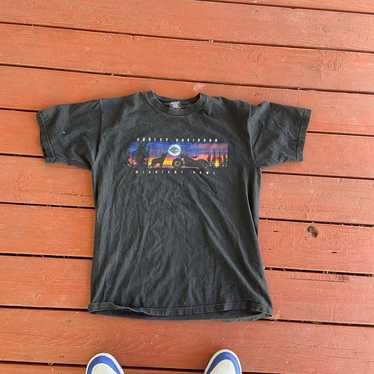 Vintage Harley Davidson t shirt