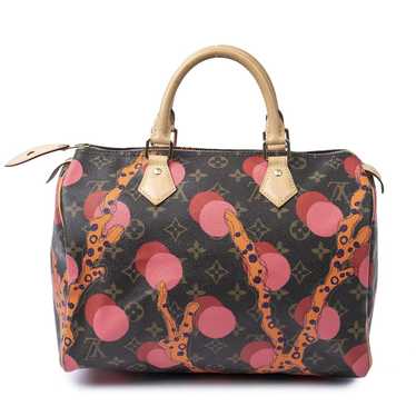 Louis Vuitton Speedy handbag