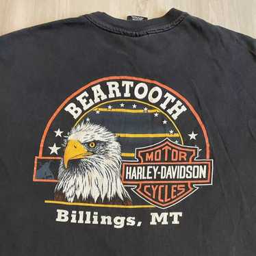 Vintage 1994 Harley Davidson Eagle Beartooth Billi