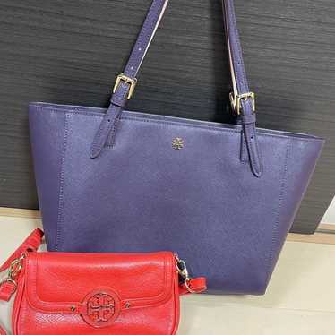 Tory Burch Bag 2-Piece Set