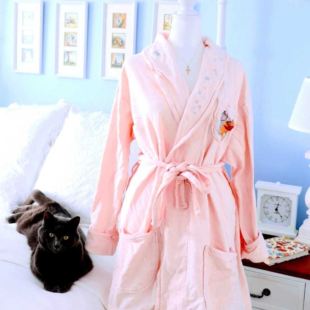 Vintage Winnie the Pooh robe - image 1