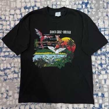 80s vintage santa cruz - Gem