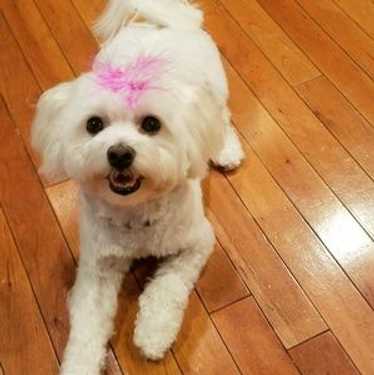 We Are Busy Today. Adding New Items And Markdowns - image 1