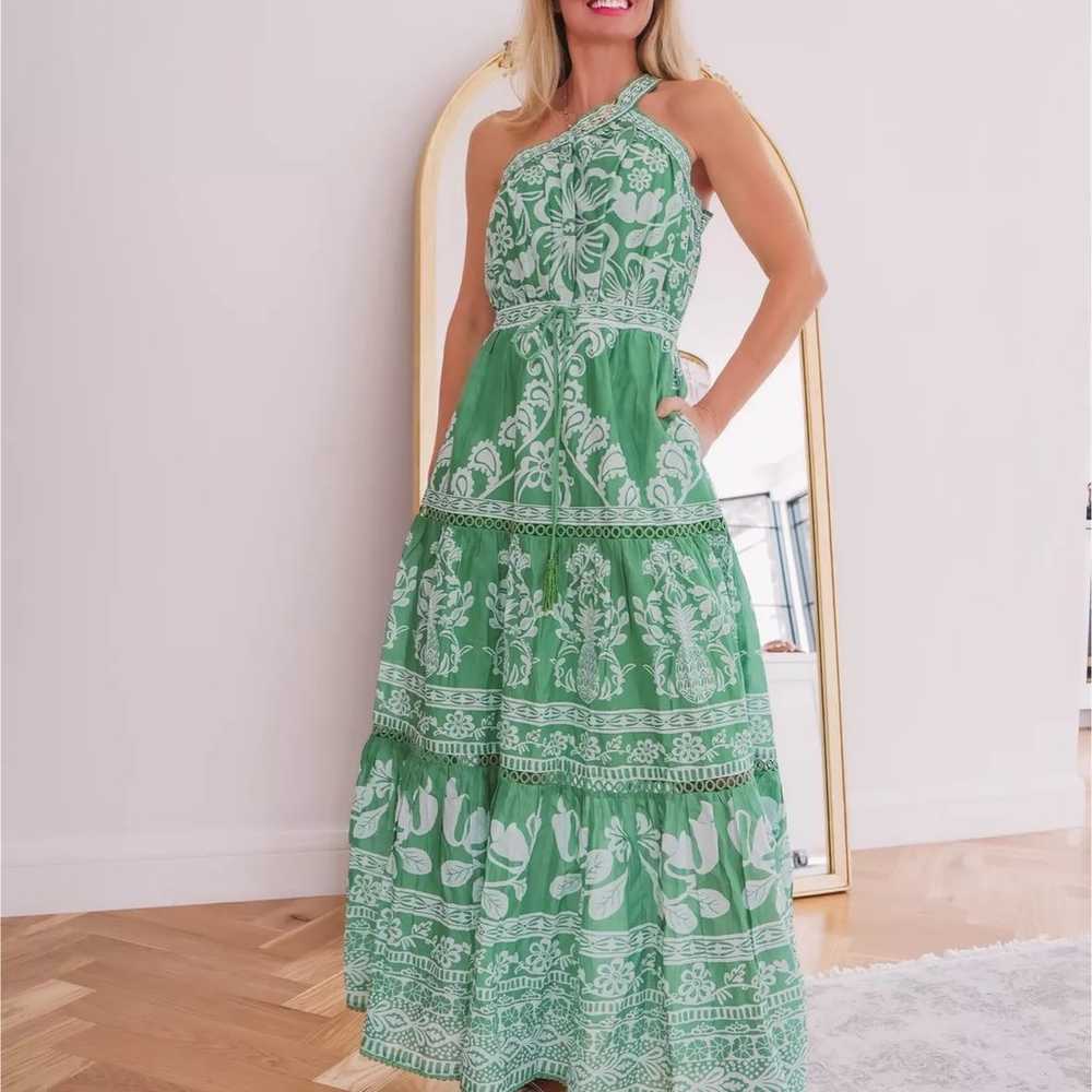 Farm Rio Sweet Green Garden Maxi Dress - image 1