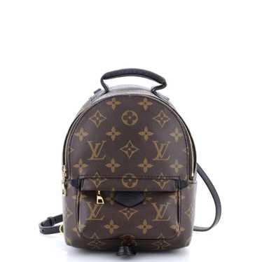 Louis Vuitton Palm Springs Backpack Monogram Canva