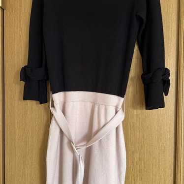 Apuweiser-riche Dress Knit