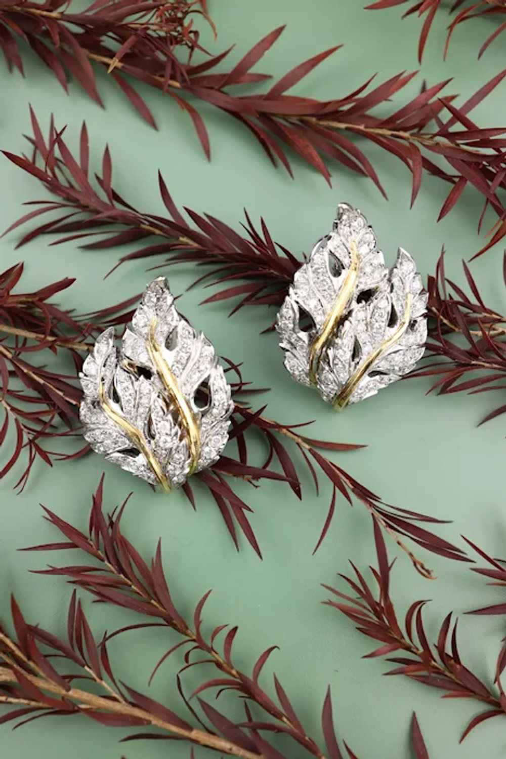 Buccellati, 18K Gold Diamond Leaf Earrings - image 7
