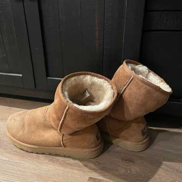 UGG Classic short 5825