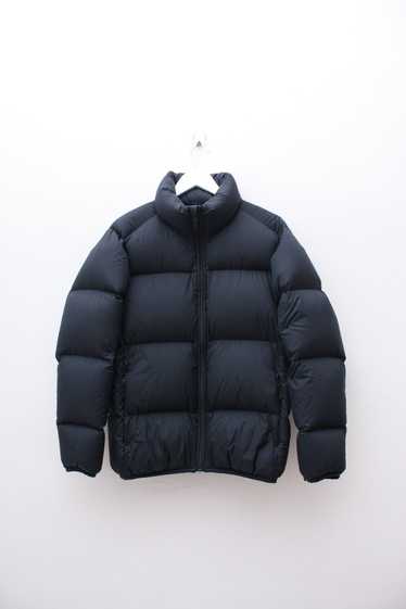 Lemaire puffer - Gem