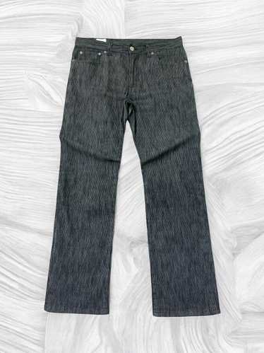 Hysteric glamour striped denim - Gem
