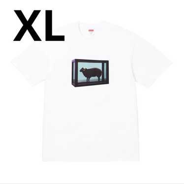 Supreme Damien Hirst Box Logo - Gem