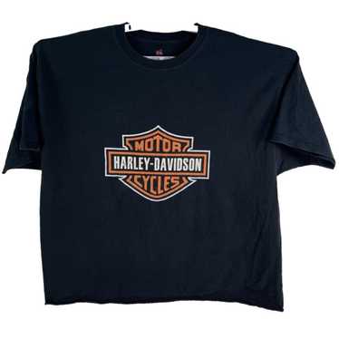 USA製Hanesタグ　Harley-Davidson 古着 80年代 ヘインズ Hanes 三角タグ 鷲柄 イーグル柄 Harley