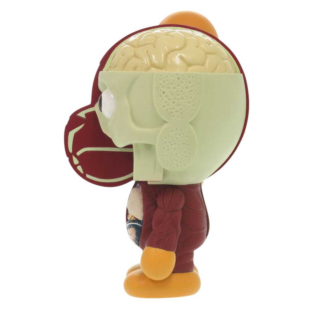 MEDICOM TOY object plastic Brown 11Stainless Steel A Bathing