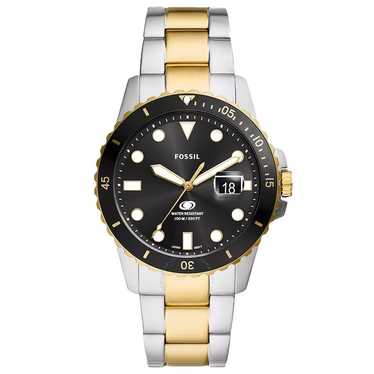 Fs5048 Fossil Breaker Watch