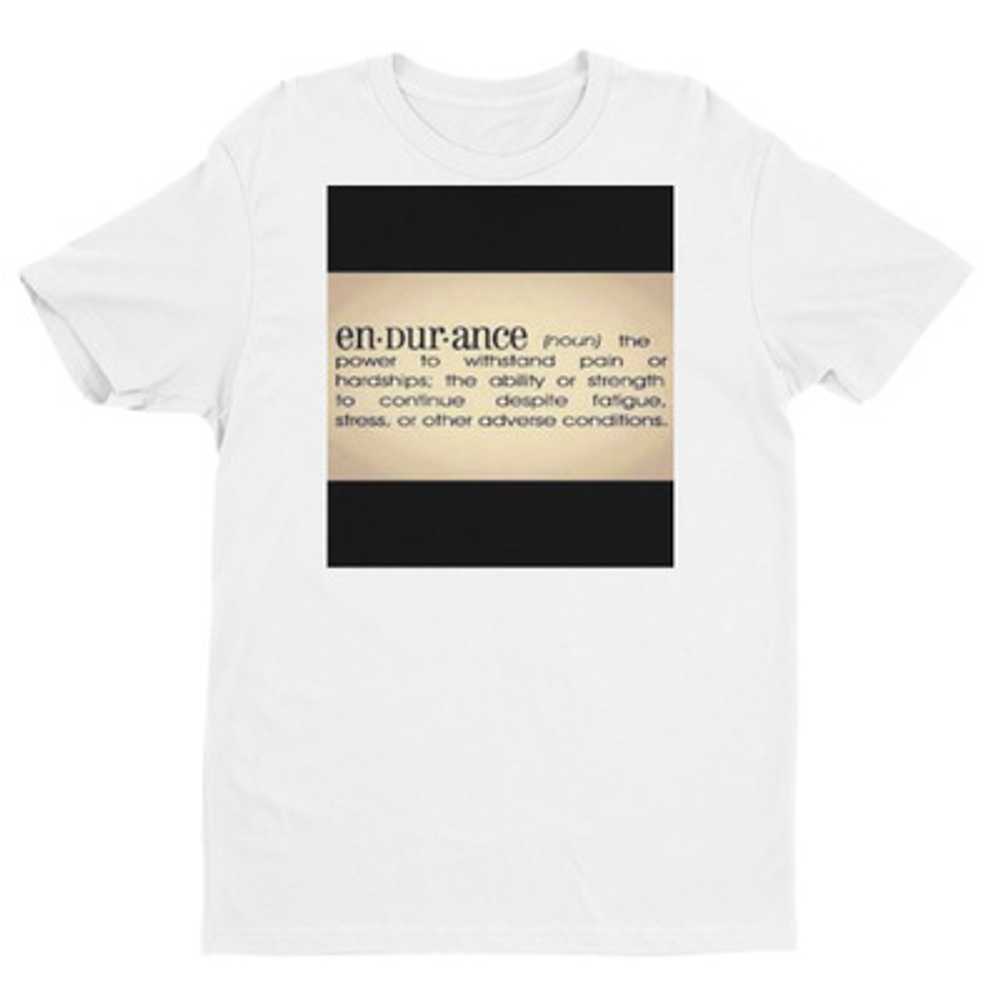 ENDURANCE(DEFINITION) - image 1