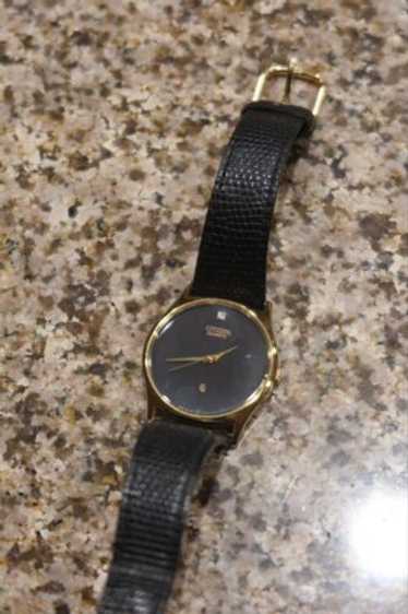 Citizen japan quartz mens - Gem