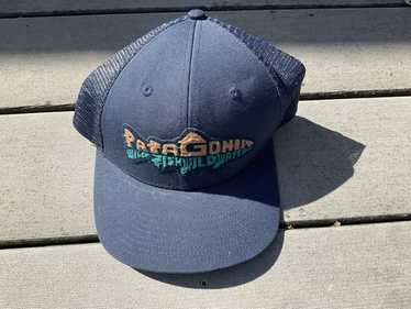 Patagonia fish wild waters - Gem