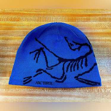Arc'teryx Arcteryx Bird Head Toque - Dark magic | Grailed