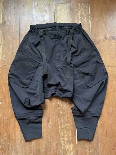 Acronym acronym p30a - Gem