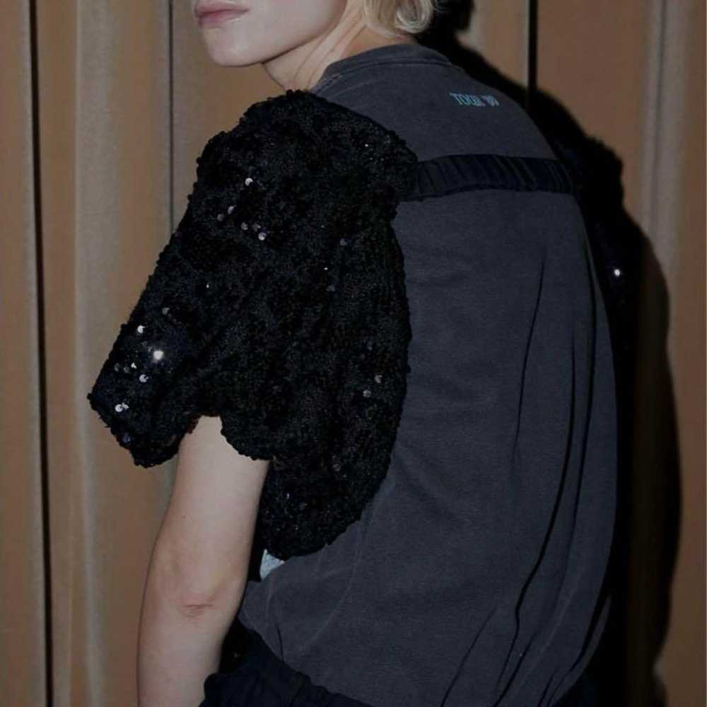 Ameri VINTAGE Sequin Sleeve - image 2