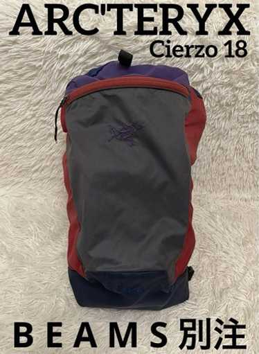 Arcteryx × beams boy - Gem