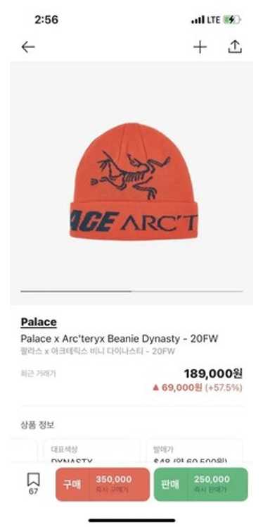 Palace arcteryx beanie - Gem