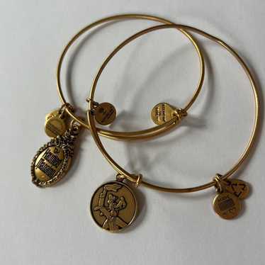 WDW Alex And Ani ブレスレット　ディズニーワールド限定　レア WDW Alex And Ani ブレスレット ディズニーワールド限定 レア