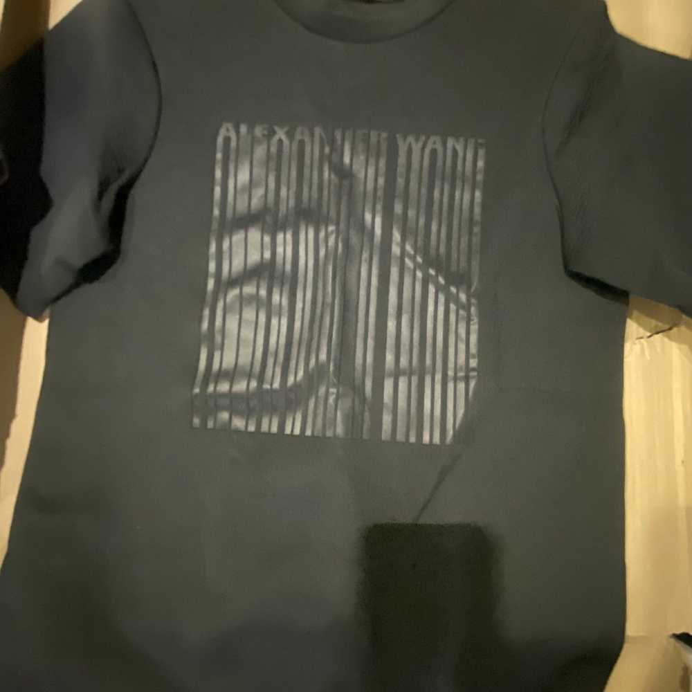 【送料&関税込】Alexander Wang Graphic Printed Crewneck T-sh Alexander Wang - Printed Double S/S T-Shirt | HBX - Globally