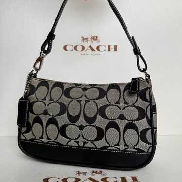 バッグ Coach Optic Signature Hook Demi Pouch Coach signature demi pouch - Gem