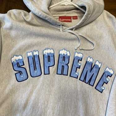 SUPREME 20AW Icy Arc Hooded Sweatshirt　L Supreme Icy Arc Hooded Sweatshirt (FW20) - $168