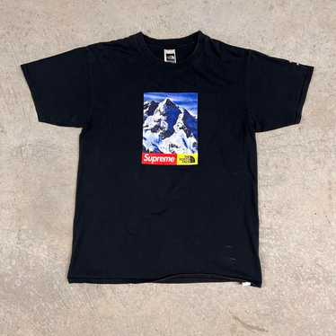 Supreme north face t - Gem