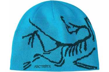 Arcteryx bird head toque - Gem