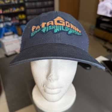 Patagonia Wild Fish Wild Place キャップ Patagonia fish wild waters - Gem