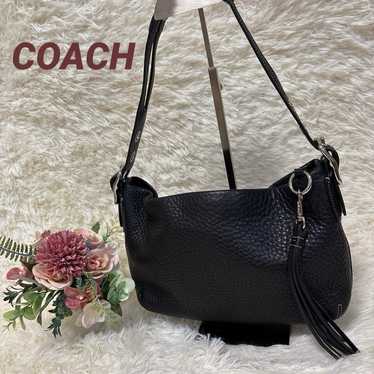 coach archive collection crossbody bag Gray & Yellow (See