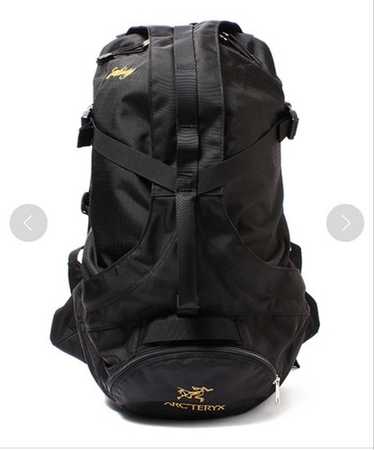 Arcteryx sebring beams - Gem