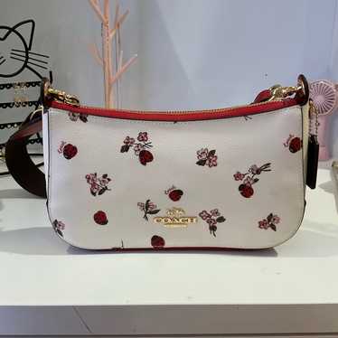 美品　COACH レディバグバッグ　てんとう虫signature ladybug 美品 COACH レディバグバッグ てんとう虫signature ladybug