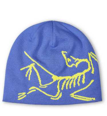 バードヘッドトーク Bird Head Toque | Arc'teryx