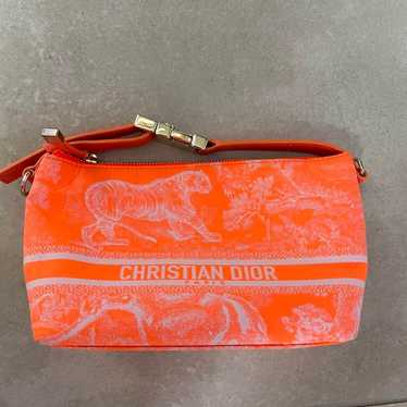 Dior nomad pouch bag - Gem