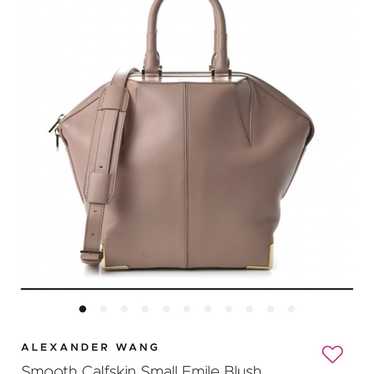 Alexander wang emile - Gem