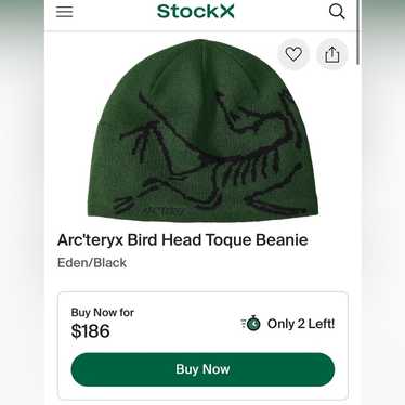 Arcteryx mens green and - Gem