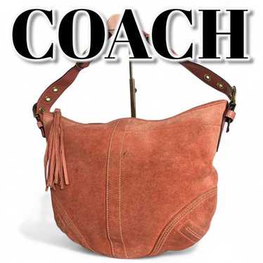COACH One Shoulder レザー ハーフムーン　ブラウン　本革 希少✨コーチ ワンショルダーバッグ レザー スタッズ ハーフ