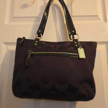 Black coach poppy signature - Gem