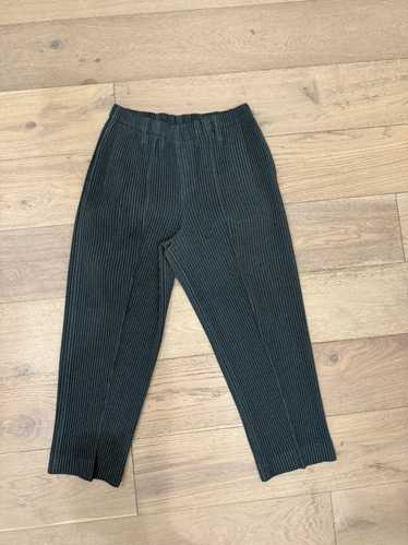 issey miyake homme plisse pants - Gem