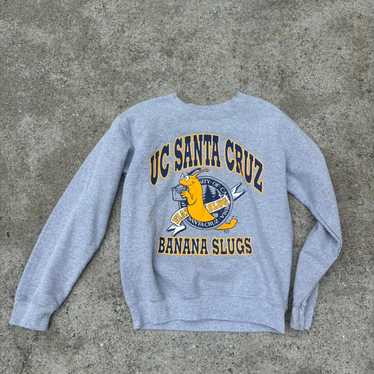 UC SANTA CRUZ スウェット Uc santa cruz sweatshirt - Gem