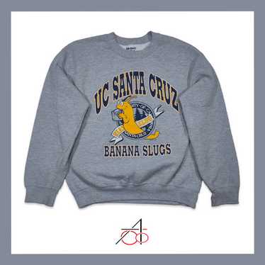 UC SANTA CRUZ スウェット Uc santa cruz sweatshirt - Gem